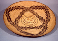 Achumawi%20artist%2C%20%3Cb%3E%3Ci%3E%20Basketry%20tray%3C%2Fi%3E%3C%2Fb%3E%2C%20ca.%201900%2C%20tule%20root%2C%20bulrush%2C%20and%20maidenhair%20fern%2C%20Gift%20of%20Mrs.%20Ferdinand%20C.%20Smith%20and%20Mr.%20L.%20Hawley%20Hoffman%2C%20no%20known%20copyright%20restrictions%2C%2043.1.51